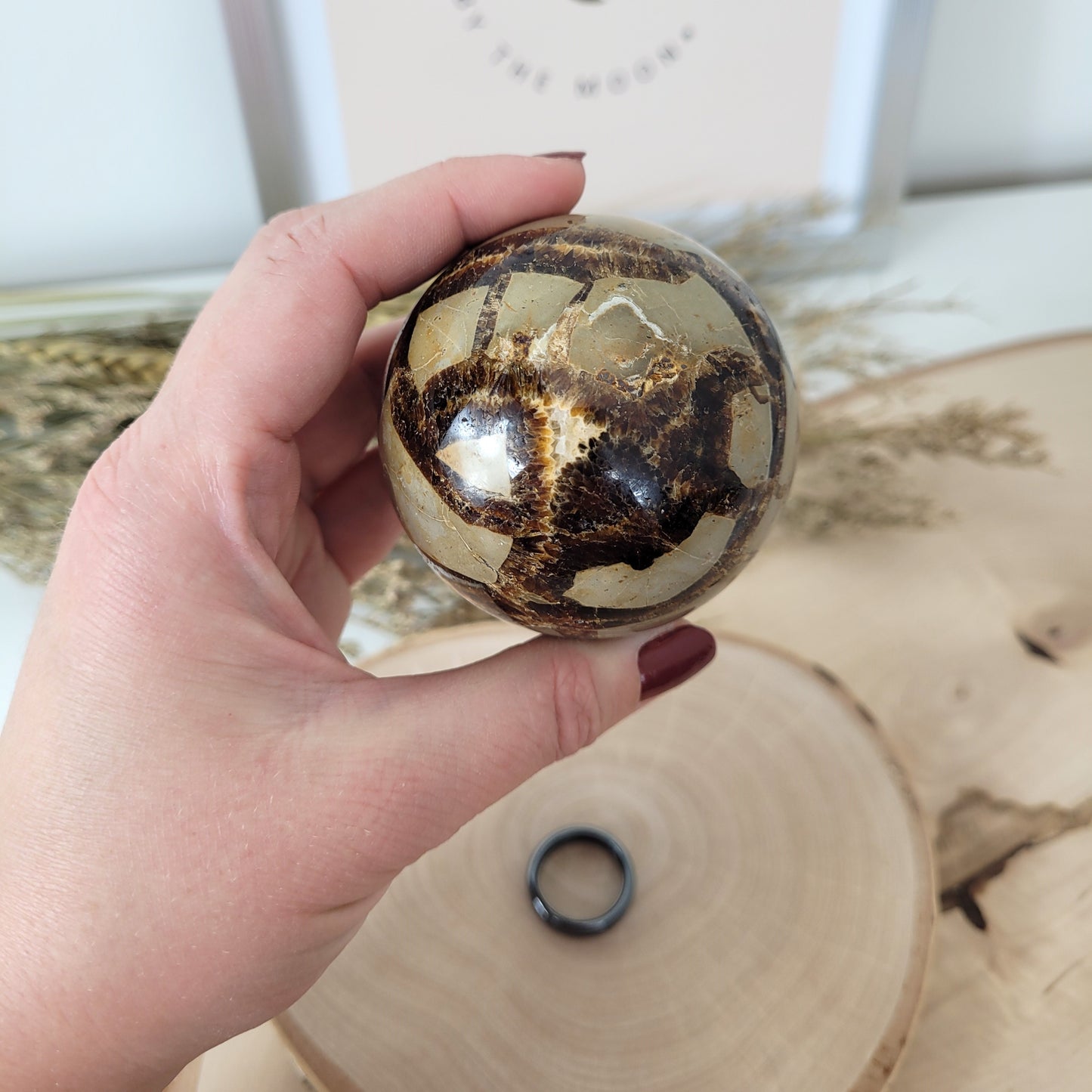 Septarien Kugel 6,2cm Durchmesser