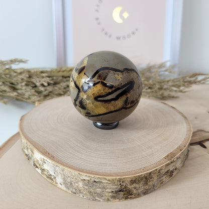 Septarien Kugel 5,9cm Durchmesser