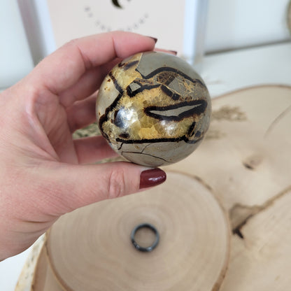 Septarien Kugel 5,9cm Durchmesser