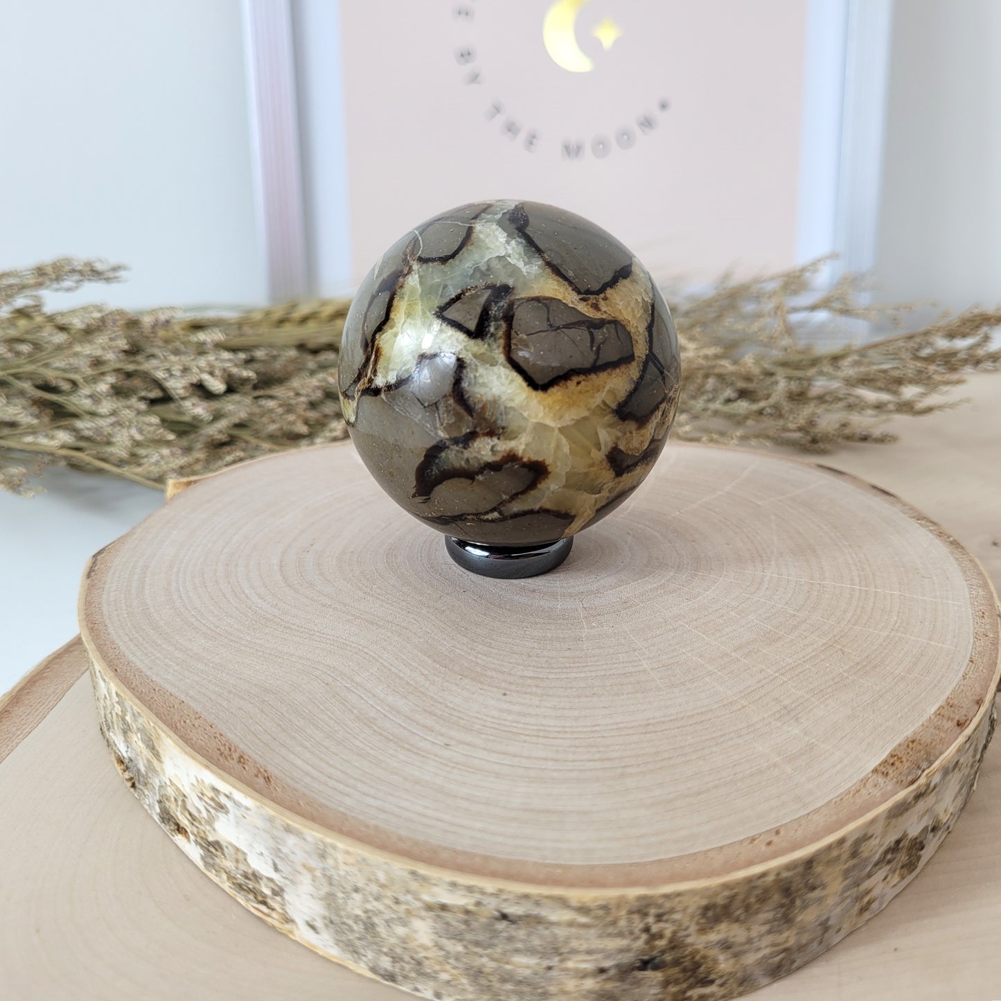 Septarien Kugel 5,6cm Durchmesser