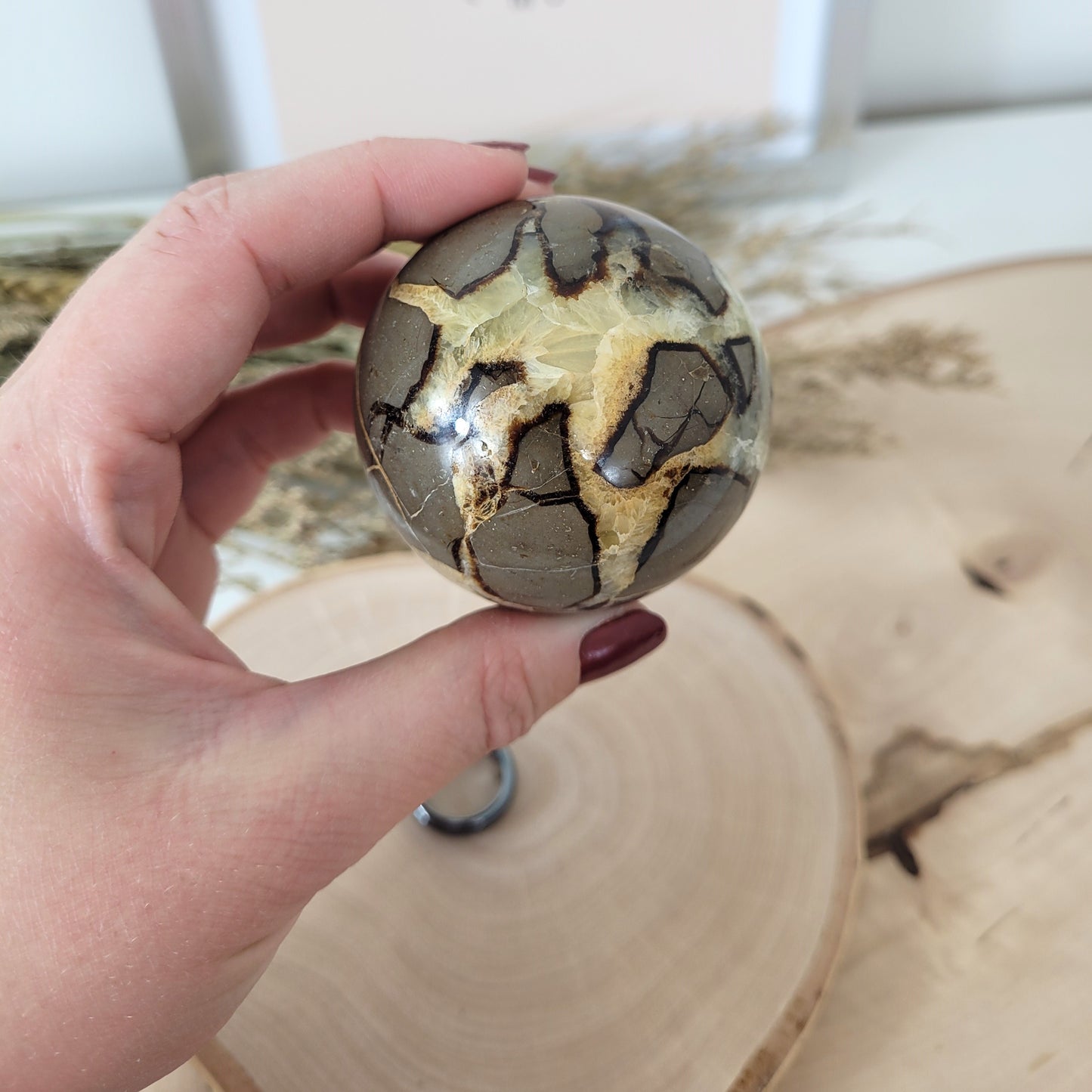 Septarien Kugel 5,6cm Durchmesser