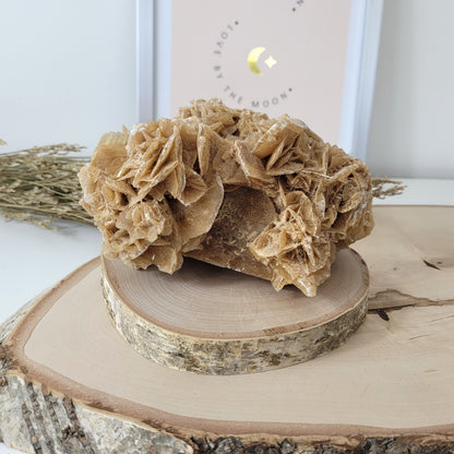 Sandrose Wüstenrose aus Tunesien 15,4 x 12cm, 1140g