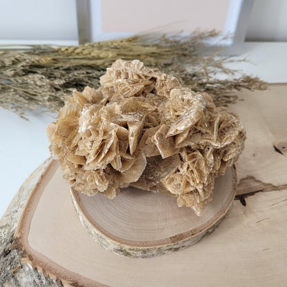 Sandrose Wüstenrose aus Tunesien 15,4 x 12cm, 1140g