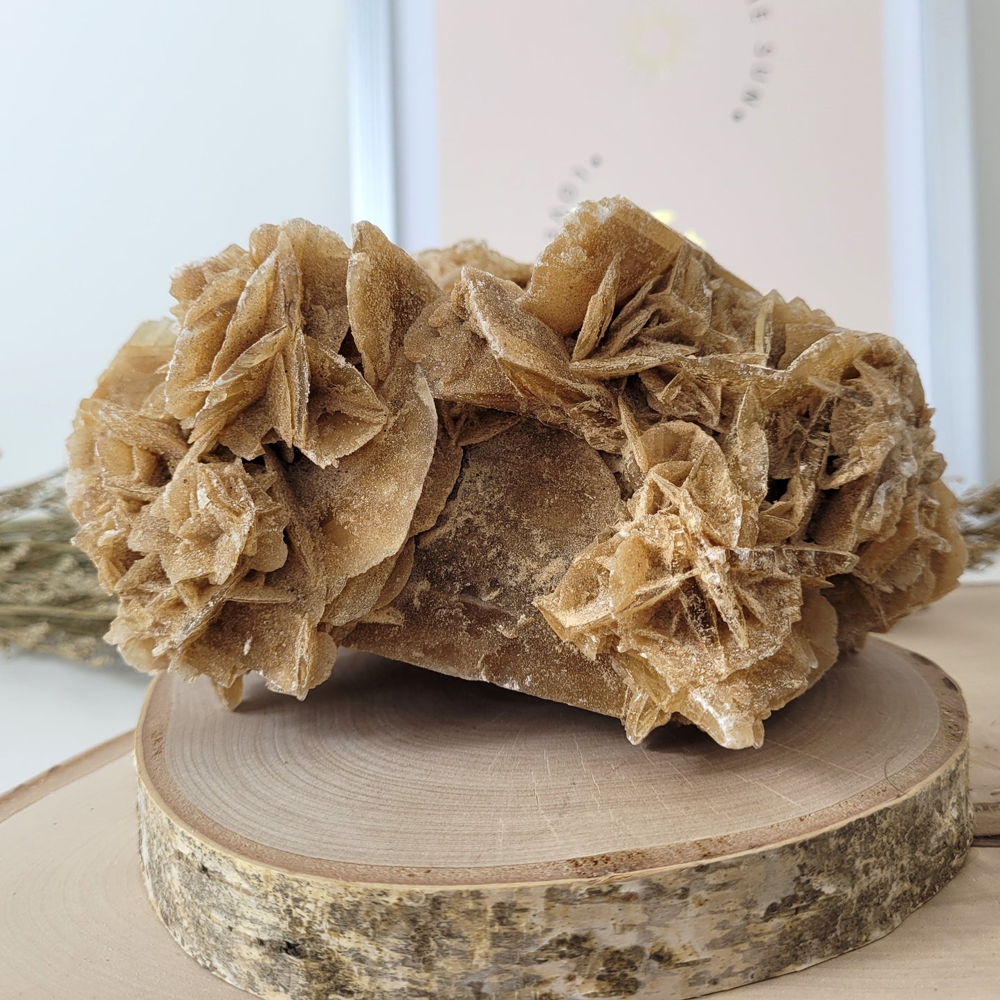 Sandrose Wüstenrose aus Tunesien 15,4 x 12cm, 1140g
