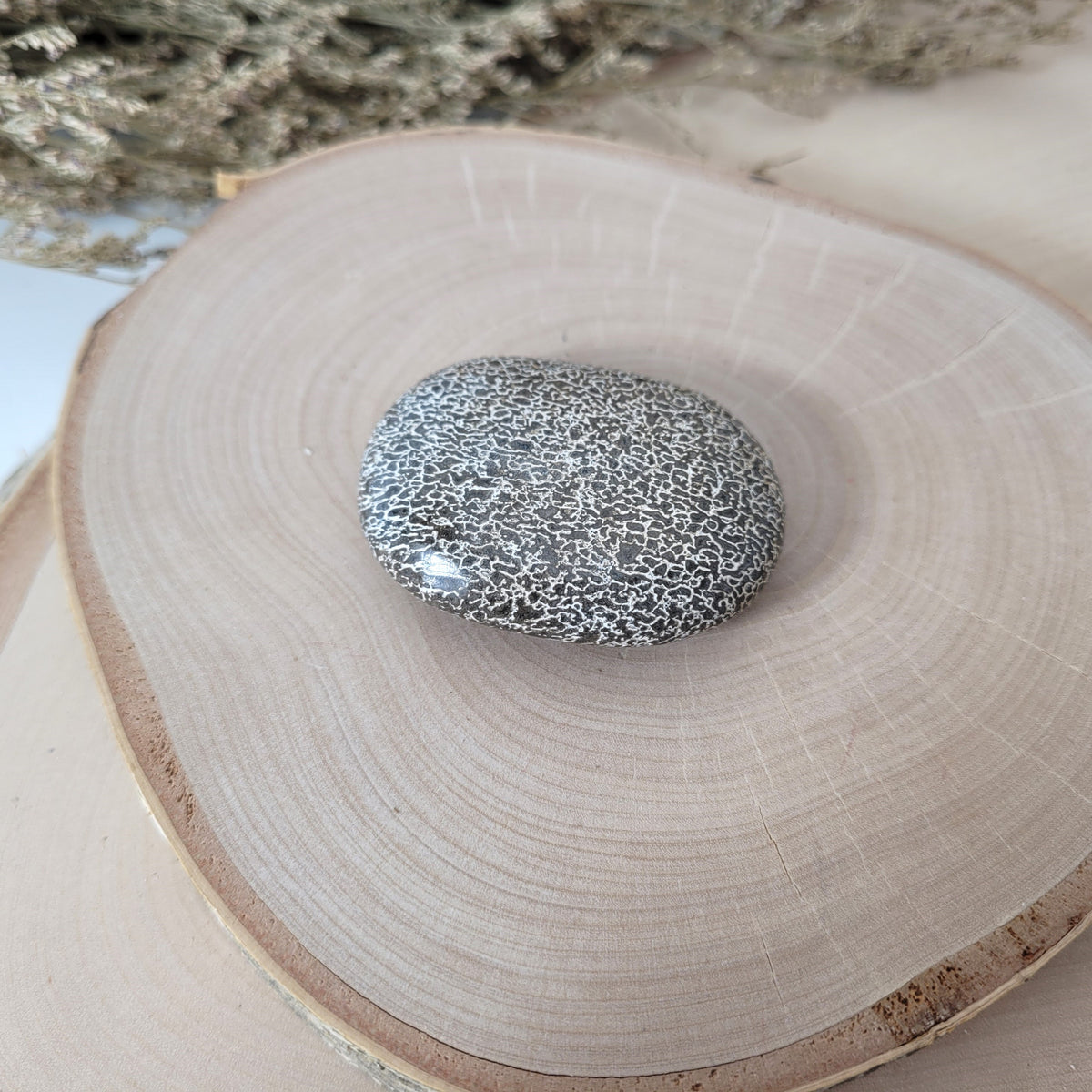 Versteinerter Dinosaurier Knochen Fossil Handstein 5,1 x 3,9cm