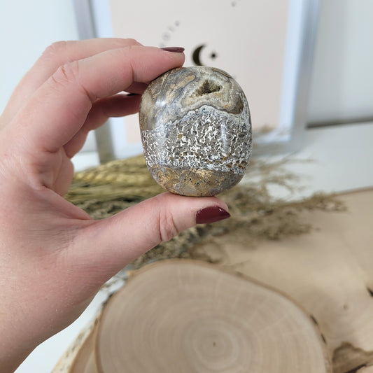 Versteinerter Dinosaurier Knochen Fossil Handstein 5 x 4,2cm