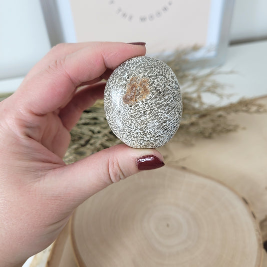 Versteinerter Dinosaurier Knochen Fossil Handstein 4,6 x 3,9cm