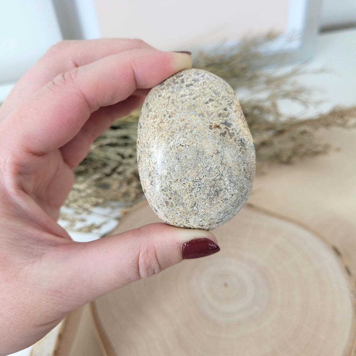 Versteinerter Dinosaurier Knochen Fossil Handstein 5,7 x 4,1cm