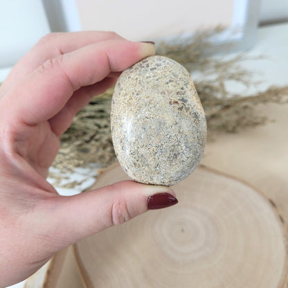Versteinerter Dinosaurier Knochen Fossil Handstein 5,7 x 4,1cm