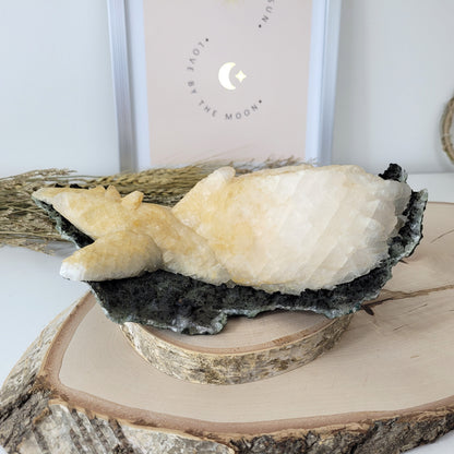 Rarität großer Mangano Calcit UV reaktiv auf Quarz mit Druzy Hämatit  22 x 11cm, 1,4kg, aus Bulgarien Madan Sammlermineralien