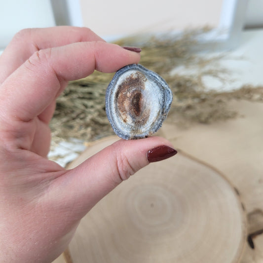 Chalcedon Rose A-Qualität 3,3 x 3cm