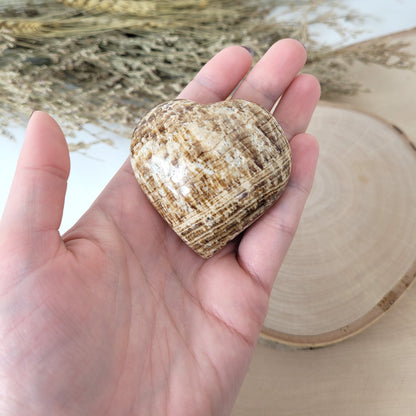 Aragonit Herz 5,3 x 5,5cm