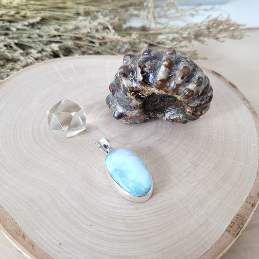 Set "Ozean der Ahnen" Larimar Kettenanhänger Silber 925, Ammoniten Fossil, Bergkristall Platonischer Körper Ikosaeder, mit kraftvoller Set Beschreibung