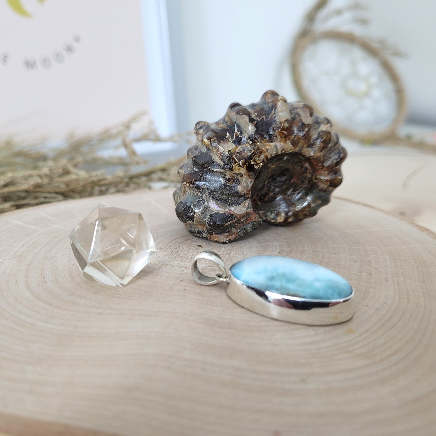 Set "Ozean der Ahnen" Larimar Kettenanhänger Silber 925, Ammoniten Fossil, Bergkristall Platonischer Körper Ikosaeder, mit kraftvoller Set Beschreibung