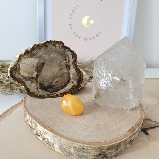 Angebot des Tages 19.03.2026 Set bestehend aus: Versteinertes Holz, Bergkristall mit Rutilen Naturspitze halb roh / halb poliert, Orangencalcit Trommelstein