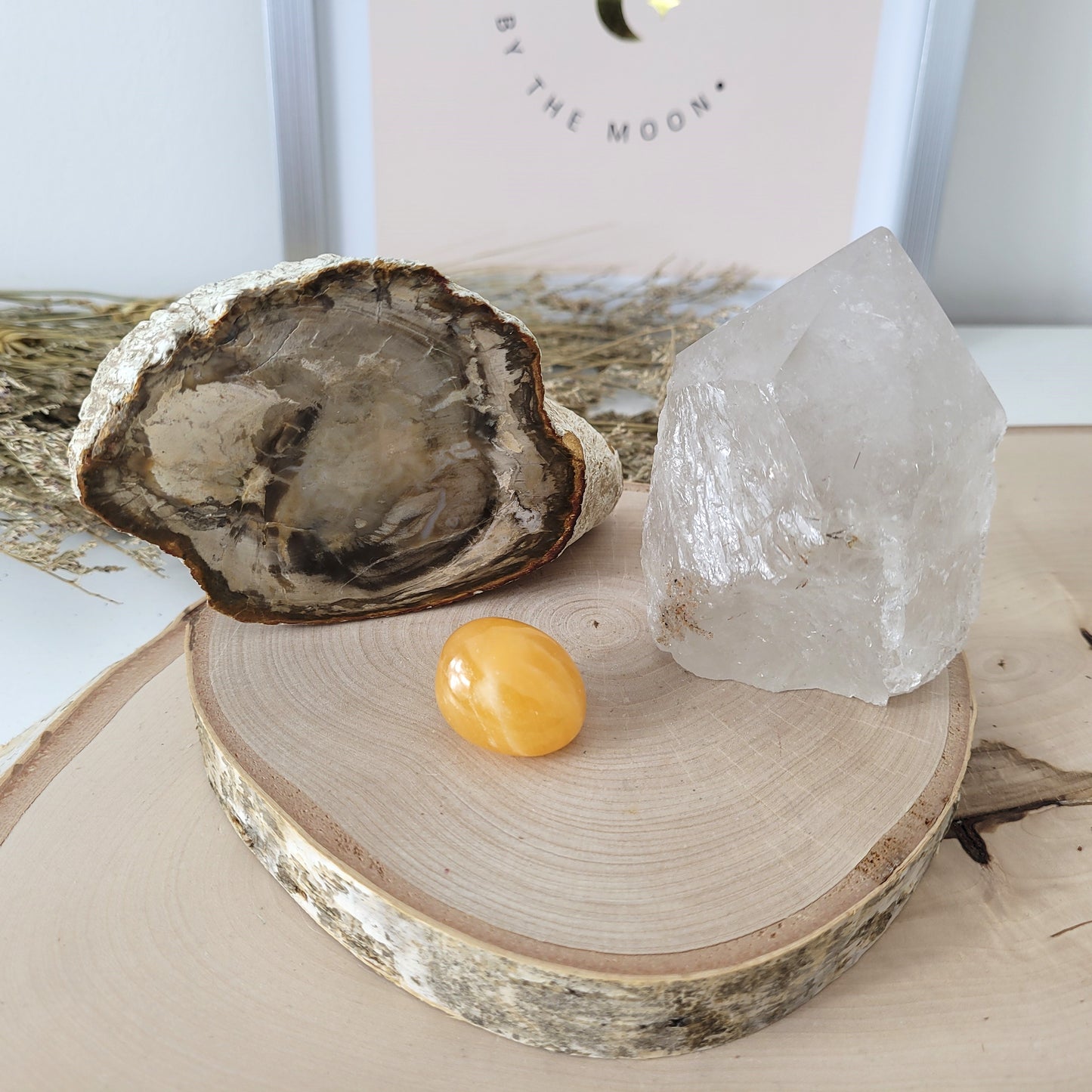 Angebot des Tages 19.03.2026 Set bestehend aus: Versteinertes Holz, Bergkristall mit Rutilen Naturspitze halb roh / halb poliert, Orangencalcit Trommelstein