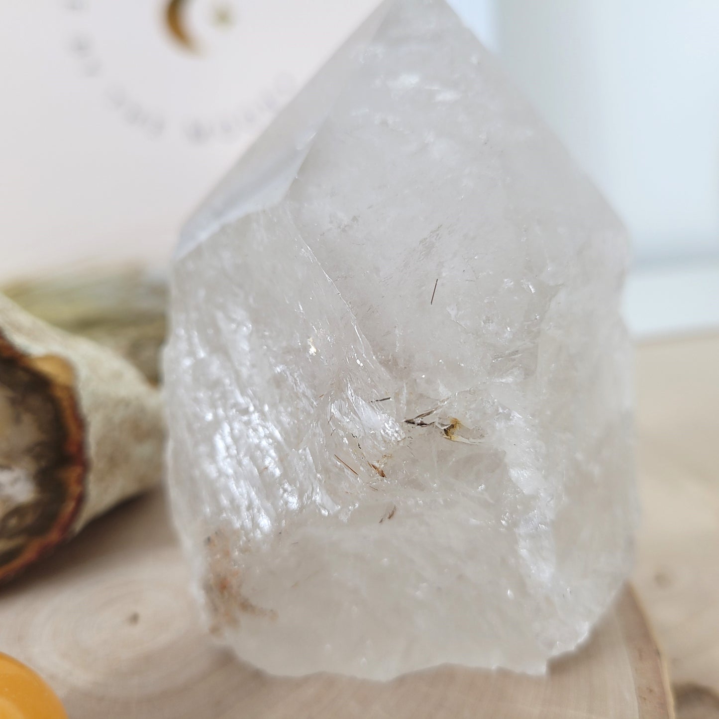 Angebot des Tages 19.03.2026 Set bestehend aus: Versteinertes Holz, Bergkristall mit Rutilen Naturspitze halb roh / halb poliert, Orangencalcit Trommelstein