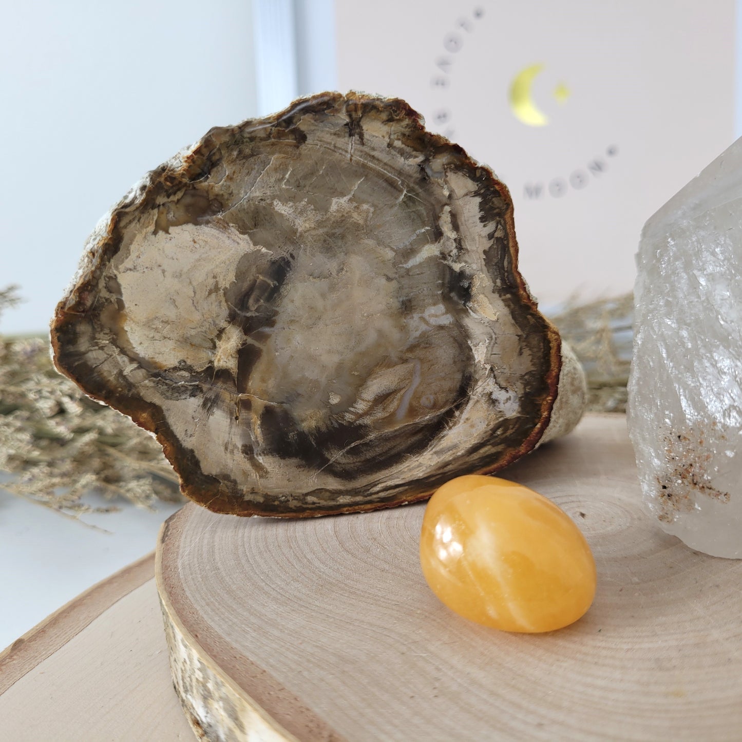 Angebot des Tages 19.03.2026 Set bestehend aus: Versteinertes Holz, Bergkristall mit Rutilen Naturspitze halb roh / halb poliert, Orangencalcit Trommelstein