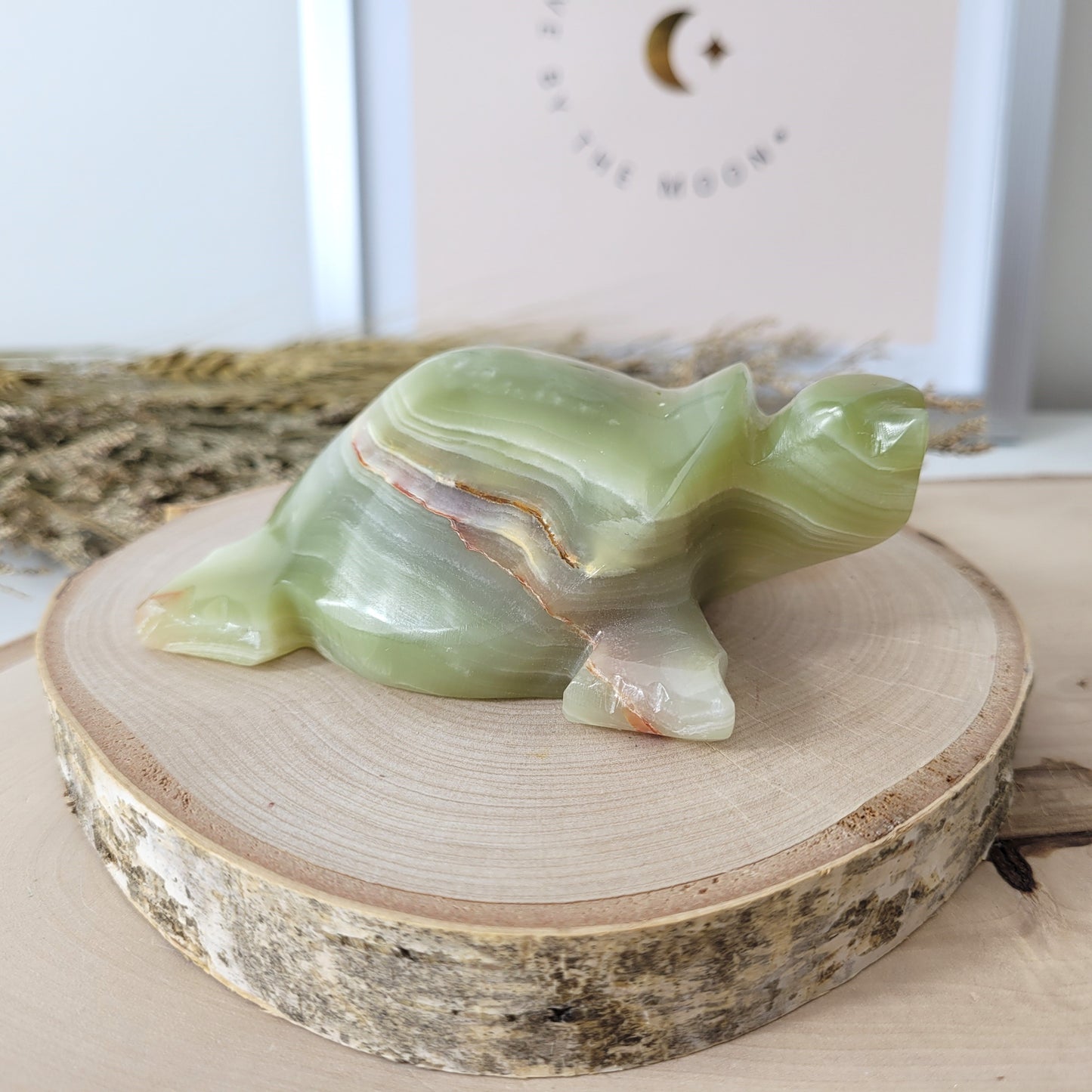 Aragonit mit Calcit Schildkröte 10cm B-Ware