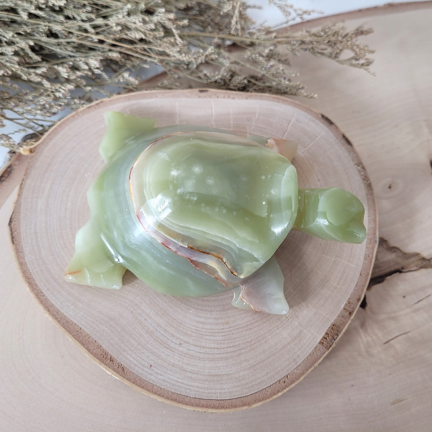 Aragonit mit Calcit Schildkröte 10cm B-Ware