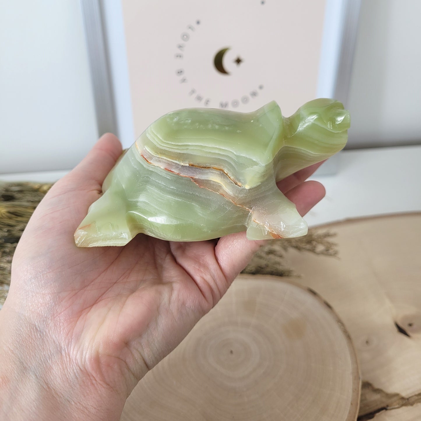 Aragonit mit Calcit Schildkröte 10cm B-Ware