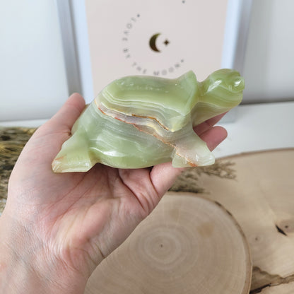 Aragonit mit Calcit Schildkröte 10cm B-Ware