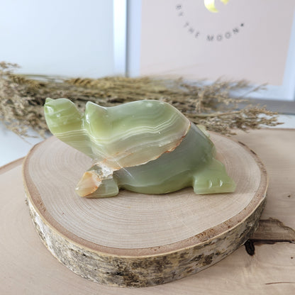Aragonit mit Calcit Schildkröte 10cm B-Ware