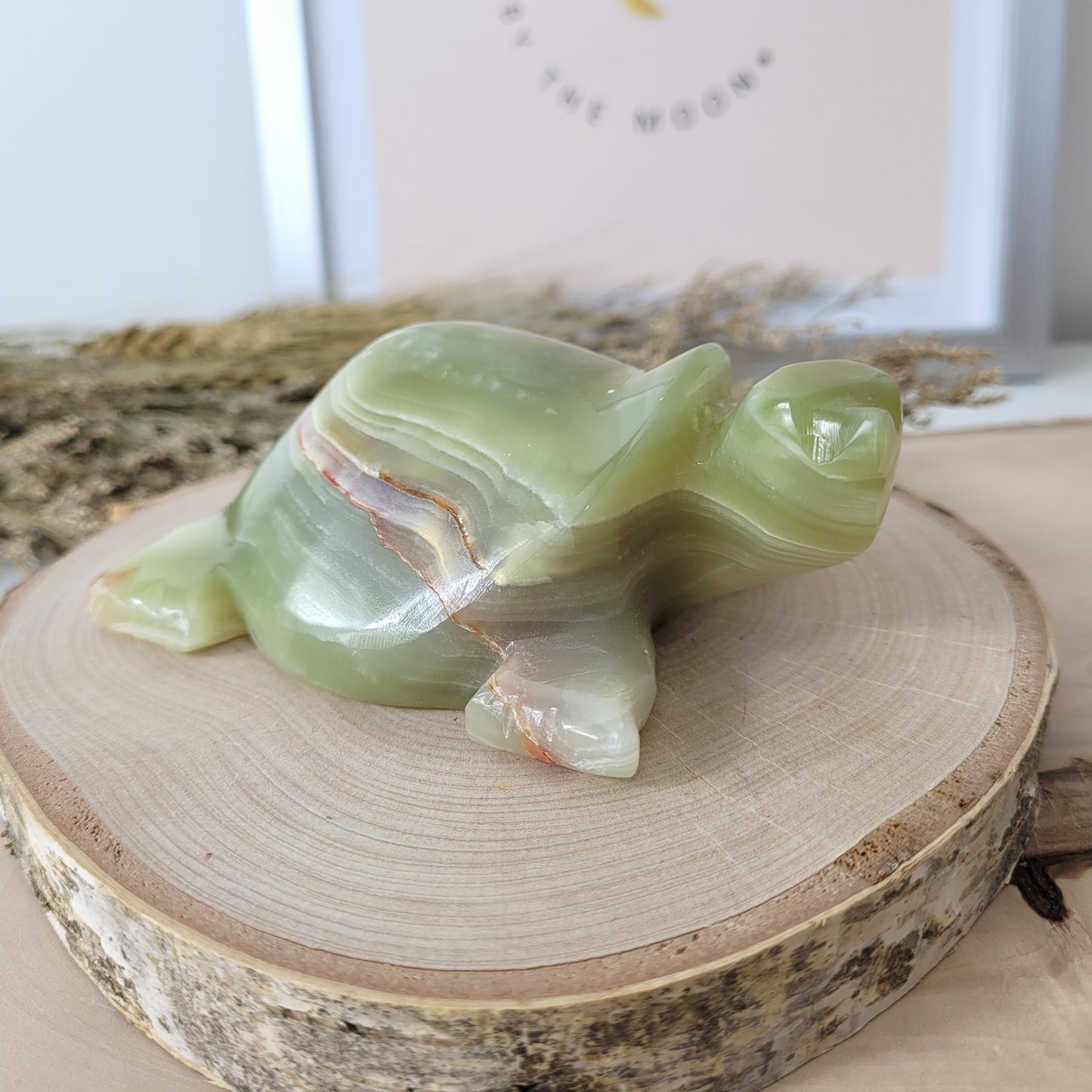 Aragonit mit Calcit Schildkröte 10cm B-Ware