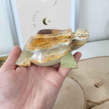 Aragonit mit Calcit Schildkröte 10cm