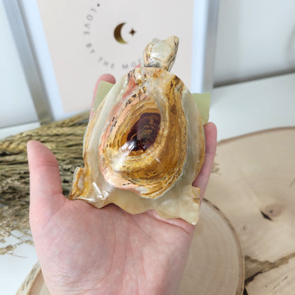 Aragonit mit Calcit Schildkröte 10cm
