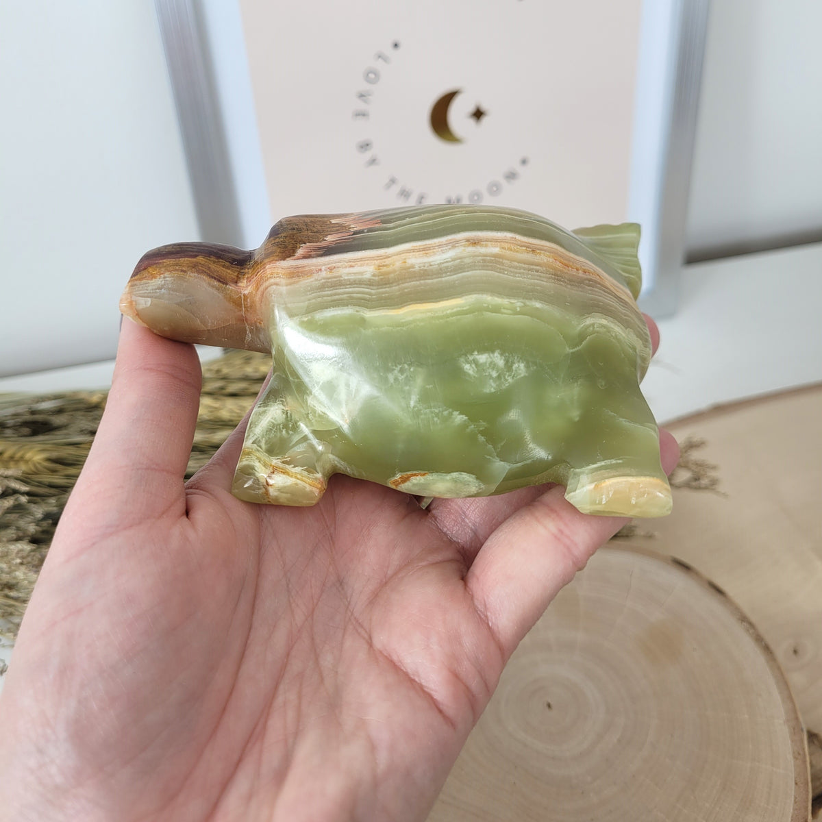 Aragonit mit Calcit Schildkröte 10cm