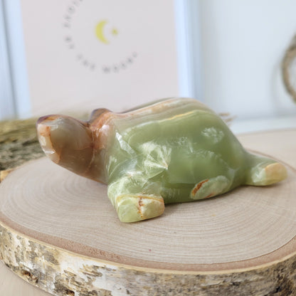 Aragonit mit Calcit Schildkröte 10cm