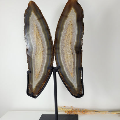 Achat Flügel / Schmetterling XXL auf Metallständer 54 x 23cm, 5,9kg Statement Piece