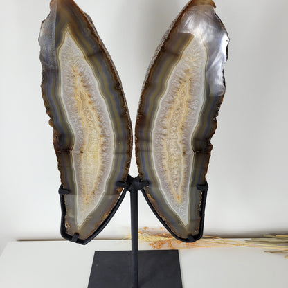 Achat Flügel / Schmetterling XXL auf Metallständer 54 x 23cm, 5,9kg Statement Piece