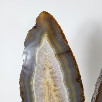 Achat Flügel / Schmetterling XXL auf Metallständer 54 x 23cm, 5,9kg Statement Piece