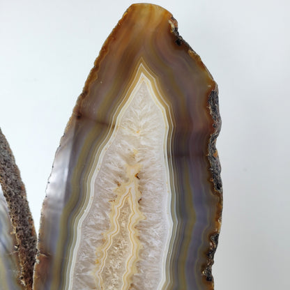 Achat Flügel / Schmetterling XXL auf Metallständer 54 x 23cm, 5,9kg Statement Piece