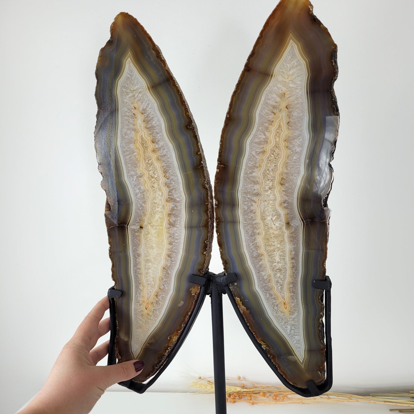 Achat Flügel / Schmetterling XXL auf Metallständer 54 x 23cm, 5,9kg Statement Piece
