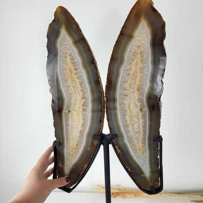 Achat Flügel / Schmetterling XXL auf Metallständer 54 x 23cm, 5,9kg Statement Piece
