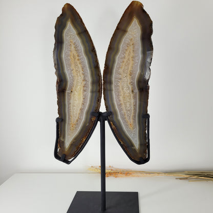 Achat Flügel / Schmetterling XXL auf Metallständer 54 x 23cm, 5,9kg Statement Piece