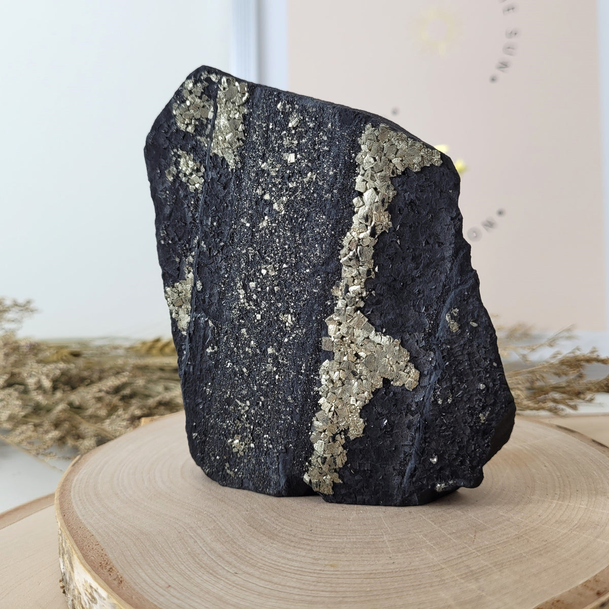 Schungit mit Pyrit Rohstein Freiform 10,1 x 8,2cm, 357g