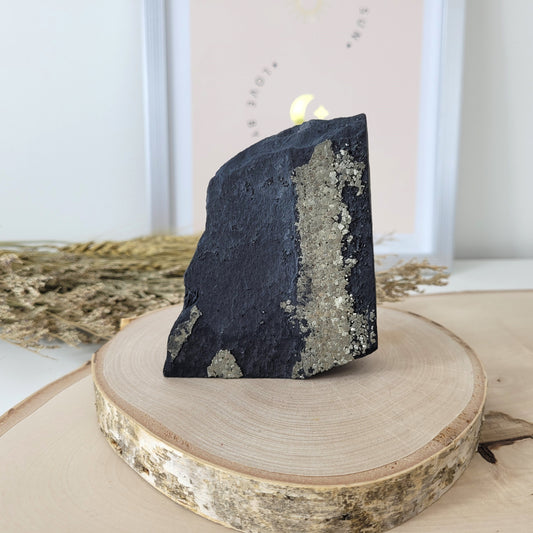 Schungit mit Pyrit Rohstein Freiform 9,1 x 7,6cm, 375g