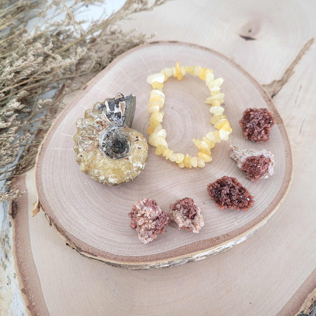 Bundle Angebot des Tages 22.10.2026 Autumn Love: Ammonit Fossil, Orangencalcit Splitterarmband, 5x Mini Aragonit Igelkristalle