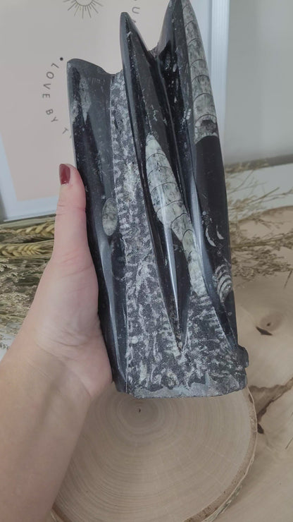 Orthoceraten Fossilien Turm 22 x 8cm