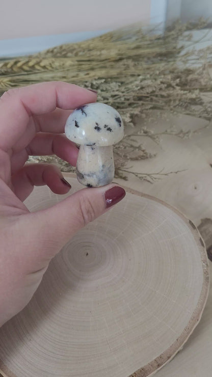 Dendriten Opal Mini Pilz