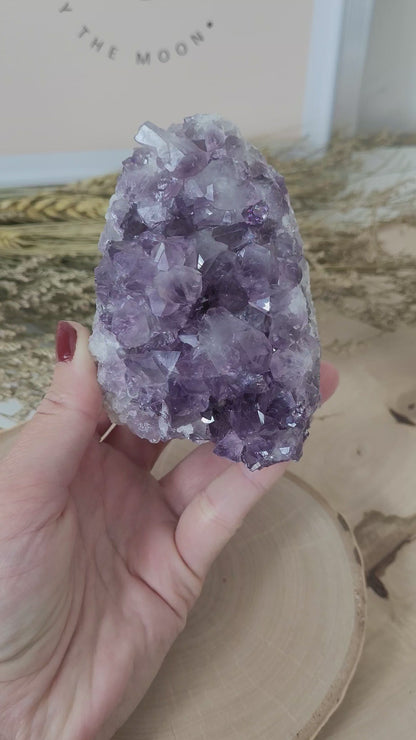 Amethyst Kristalldruse 8,6x6,4cm, 501g