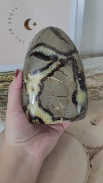 Septarien Freiform 13 x 9,4cm