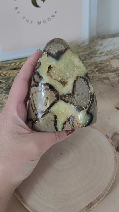 Septarien Freiform